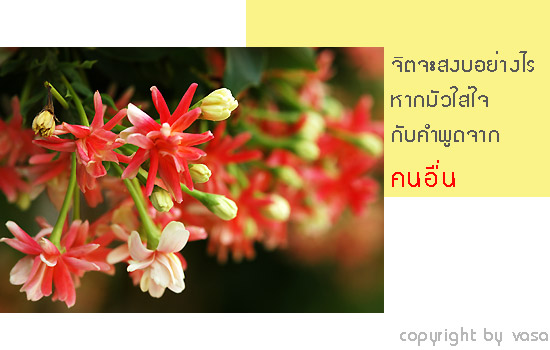 ใจ และ ความสุข