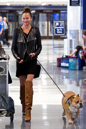 Celebrity Airport Style