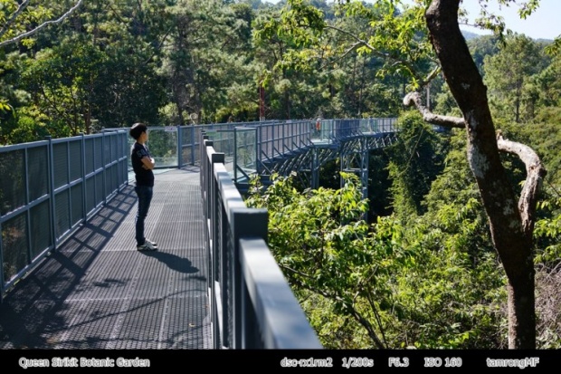 ไปเที่ยวกัน!ทางเดินลอยฟ้า “Canopy walkway” เชียงใหม่นี่เอง