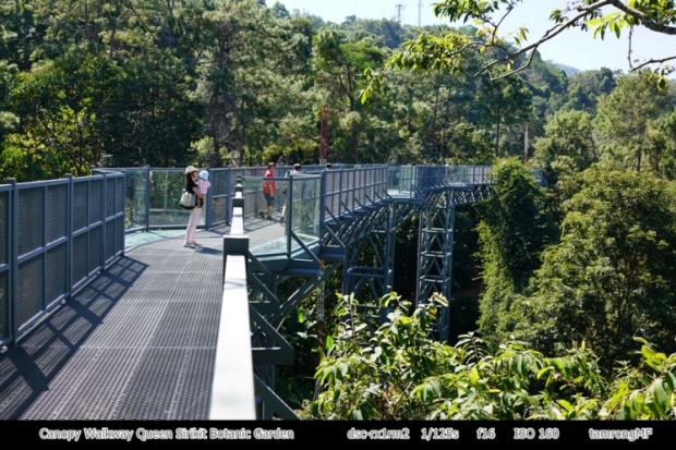 ไปเที่ยวกัน!ทางเดินลอยฟ้า “Canopy walkway” เชียงใหม่นี่เอง