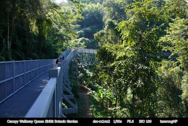 ไปเที่ยวกัน!ทางเดินลอยฟ้า “Canopy walkway” เชียงใหม่นี่เอง