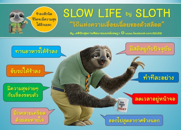 Slow Life by Slothวิถีแห่งความเฉื่อยของสล๊อต(ที่น่าเอาเป็นตัวอย่าง)