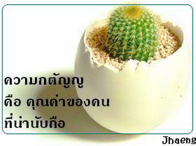 9 ข้อคิดเพื่อชีวิต