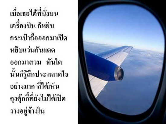 เรื่องของ...คุ้กกี้...