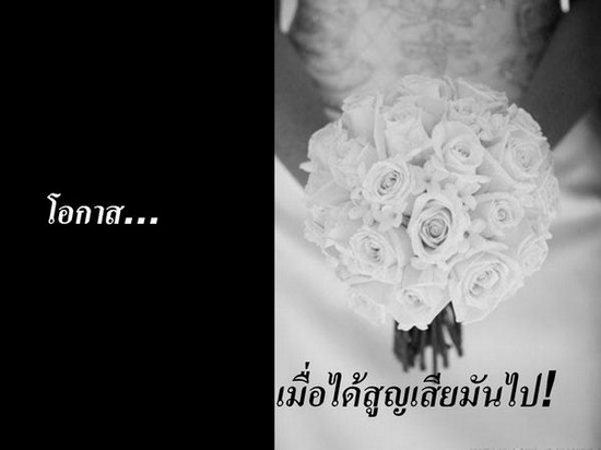 เรื่องของ...คุ้กกี้...