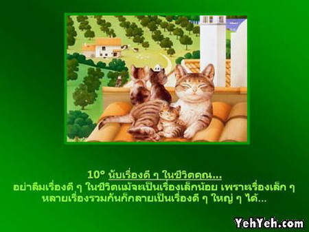 สิ่งดี ๆ มีไว้แบ่งปัน 10 เรื่อง ดี ๆในชีวิต