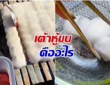 เต้าหู้ขน เมนูสุดไวรัลใน TIKTOK กินได้จริงหรอ อันตรายไหม? 