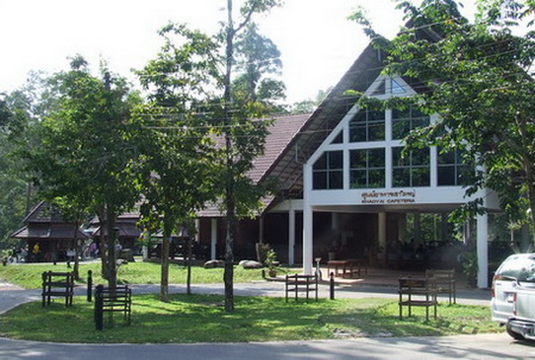 ท่องเที่ยวหน้าหนาวที่  อุทยานแห่งชาติเขาใหญ่ 