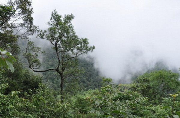 ท่องเที่ยวหน้าหนาวที่  อุทยานแห่งชาติเขาใหญ่ 