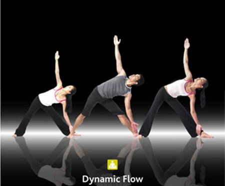 ไดนามิก โฟลว์ (Dynamic Flow)