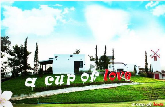 สถานที่สุดโรแมนติก ‘บอกรัก’ วันวาเลนไทน์ : เติมรัก ที่ A Cup Of Love วังน้ำเขียว
