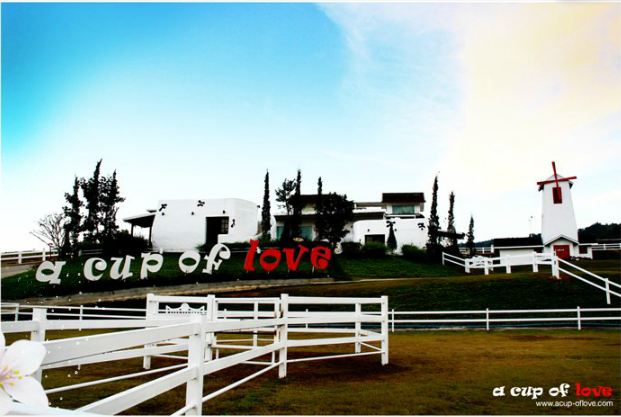 สถานที่สุดโรแมนติก ‘บอกรัก’ วันวาเลนไทน์ : เติมรัก ที่ A Cup Of Love วังน้ำเขียว