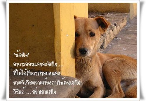 พจนานุกรมของ ใจ‏