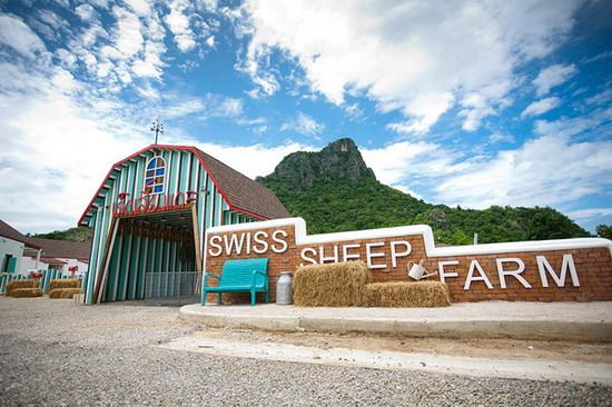 บรรยากาศฟาร์มแบบสวิสท่ามกลางหุบเขาแห่งความรัก Swiss Sheep Farm