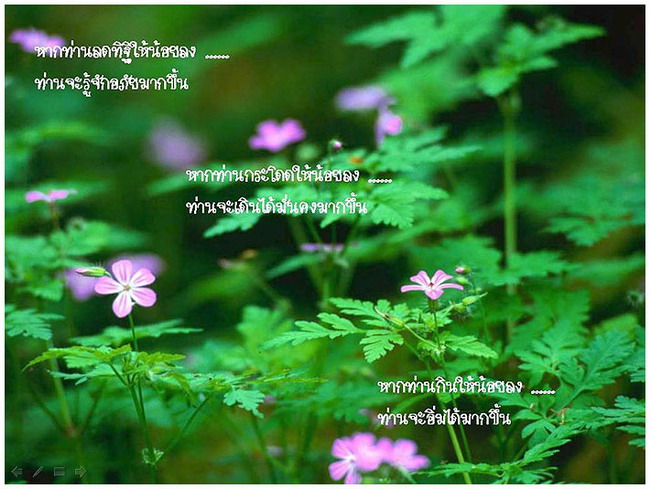 ลดบางอย่าง...ได้หลายสิ่ง