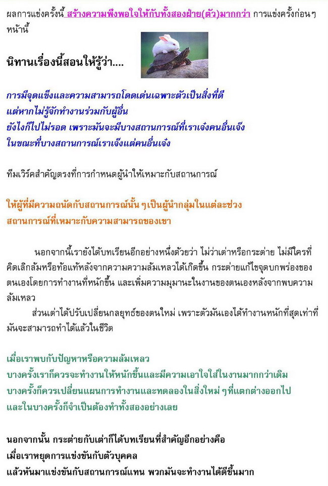 กระต่าย กับ เต่า ฉบับ MBA