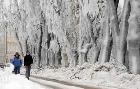 ชมภาพ พายุน้ำแข็งซัดสโลวีเนีย บ้านเมืองกลายสภาพเป็นเมืองน้ำแข็ง 