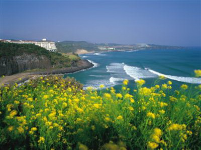 รู้จัก เกาะเชจูโด หรือเกาะเชจู (Jeju) มรดกโลกของเกาหลีใต้