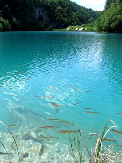 ทะเลสาบพลิทวิเซ่ ประเทศโครเอเชีย (Plitvice Lakes, Croatia) 