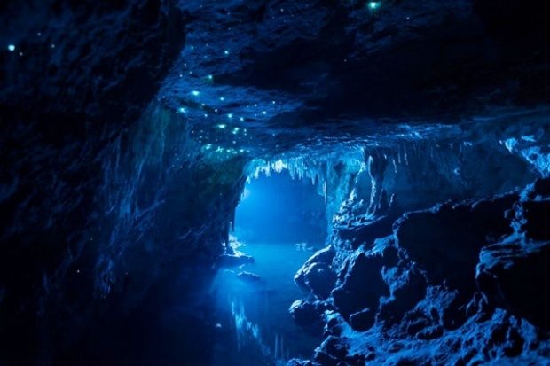 Waitomo Glowworm Caves ถ้ำหนอนเรืองแสง สุดมหัศจรรย์ กว่า 30 ล้านปี 