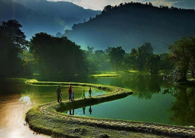 ภาพวิถีบ้านๆ ในน้ำมีปลาในนามีข้าว กลิ่นโคลนสาบควายท้องทุ่งสีเขียว!!