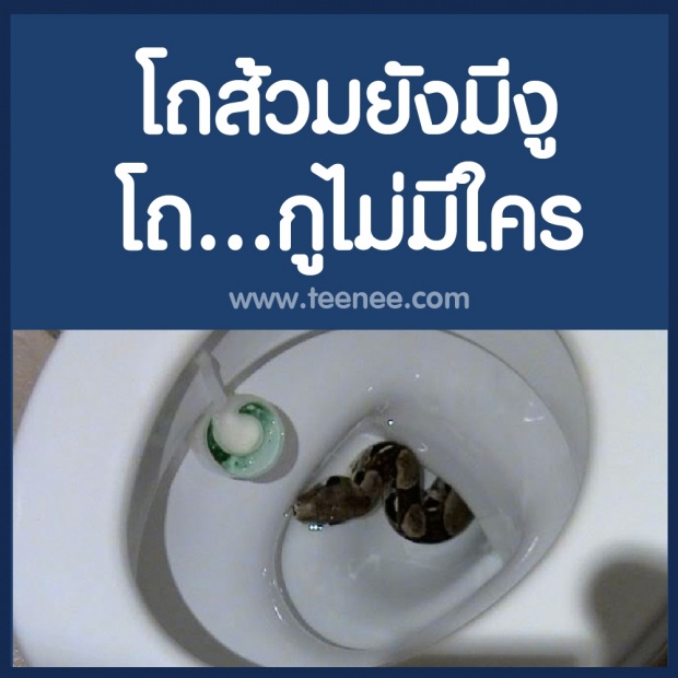 โถส้วมยังมีงู  โถกูไม่มี....?