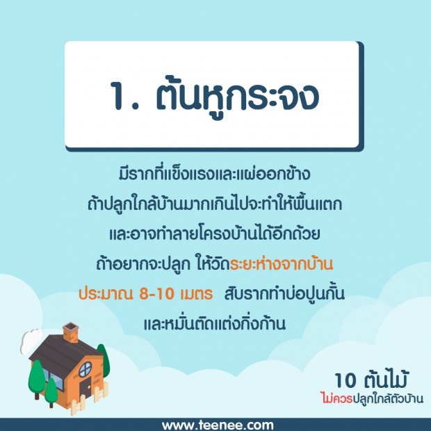 10 ต้นไม้ที่ไม่ควรปลูกใกล้ตัวบ้าน