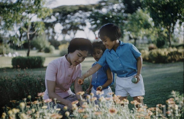 รวมพระอิริยาบถพร้อมหน้าพร้อมตาในพระราชวัง ร.9 พระราชินีและพระบรมวงศานุวงศ์