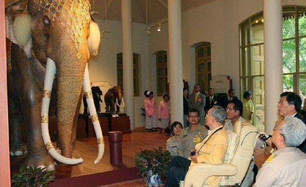 เปิดภาพ “พระเศวตอดุลยเดชพาหนฯ”ช้างเผือกคู่พระบารมีพ่อ