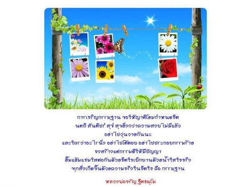 ...อย่าไปวุ่นวายกันนะ...