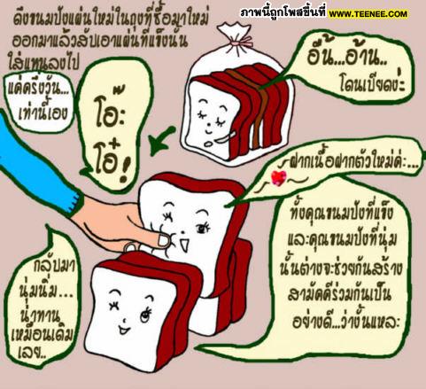 เคล็ดลับ ทำขนมปังเก่าให้กลับมาใหม่อีกครั้ง