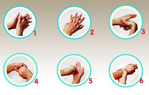 6 ขั้นตอน ล้างมือถูกวิธี 