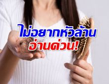 ส่อง 7 อาหารเเก้ปัญหาผมร่วงได้ตรงจุด