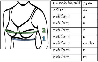 เลือกเสื้อชั้นในให้เหมาะกับขนาด