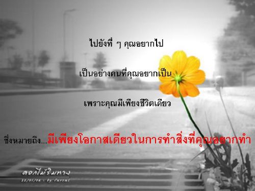 บทความดี ๆ สำหรับคนมีทุกข์