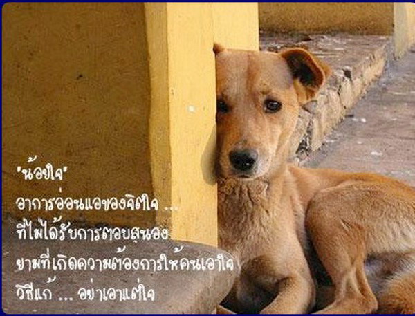 อาการทางใจ