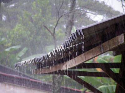 เริ่มฝนก็ฟ้ารั่ว ปีนี้ไทยจะเจอพายุกี่ลูก?