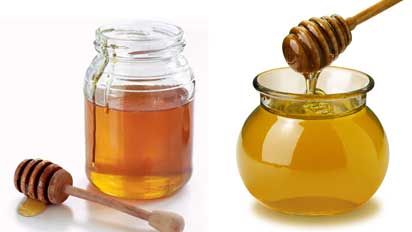 Honey Heal เยียวยาโรคภัยด้วยความหวาน