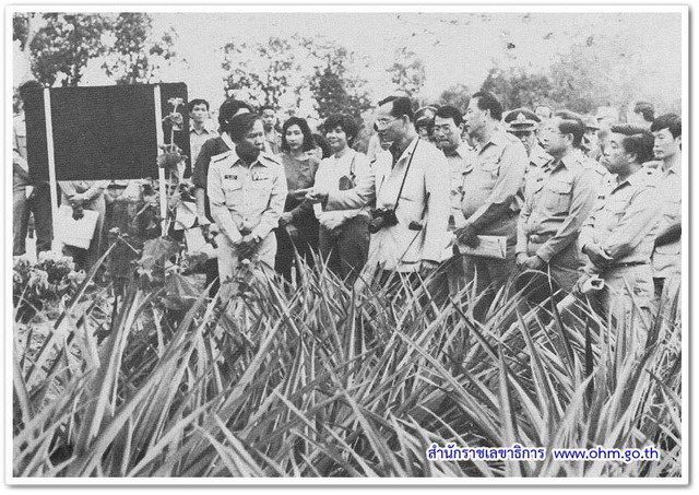 พระบรมฉายาลักษณ์ในหลวงทรงเสด็จเยี่ยมราษฏร 1