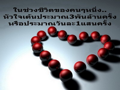 ร่างกายของเรา