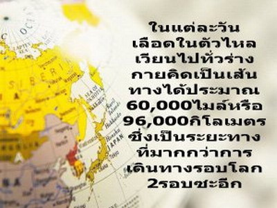 ร่างกายของเรา