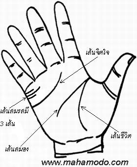 ดูลายมือ เส้นแต่งงาน