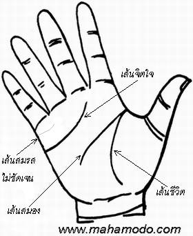 ดูลายมือ เส้นแต่งงาน