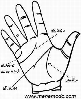 ดูลายมือ เส้นแต่งงาน