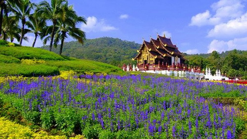 10 ที่เที่ยวชมดอกไม้สวยสุดๆ ในเมืองไทย