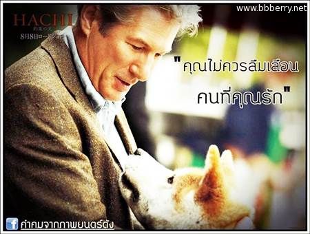 คำคม ประโยคเด็ดความรัก จากหนังดัง