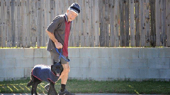 สุดซึ้ง!คุณปู่ออสซี่วัย70ปีเดิน300โล ตามหาเจ้าเบนจิสุนัขแสนรัก 
