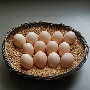 ไข่ไก่ญี่ปุ่นเกรดพรีเมียม แพงที่สุดในญี่ปุ่น ฟองละ 170 บาท!!