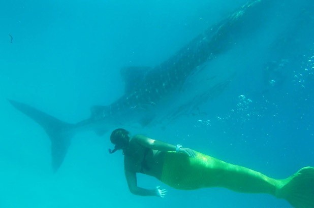 Philippine Mermaid Swimming Academy