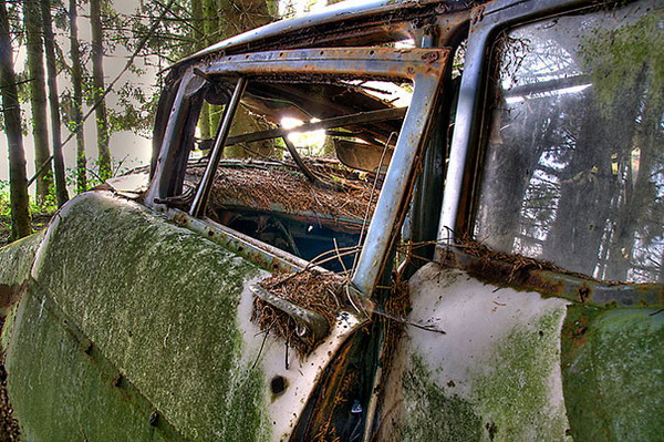 สุสาน Chatillon Car Graveyard สุสานรถสมัยสงครามโลกเบลเยี่ยม 